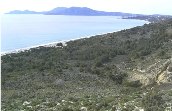Large beachfront plot in touristic island - Kefalos, Kos, Dodecanese