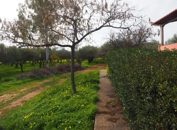 Three levels country house with sea views in Vochaiko - Vrachati, Korinthia, Peloponnese