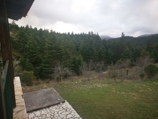 House nested in a pine forest - Lagkadia, Peloponnese