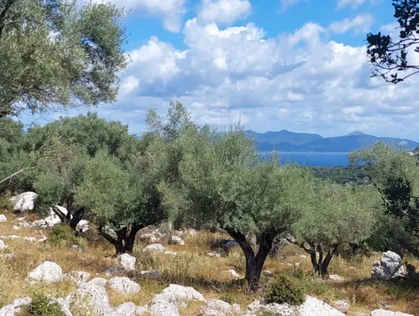 Olive grove plot with planning permission for a Mediterranean villa - Meganisi, Ionian Islands