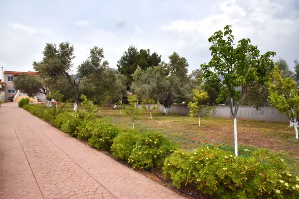 Holiday residence close to Athens - Eretria, Evia, Central Greece
