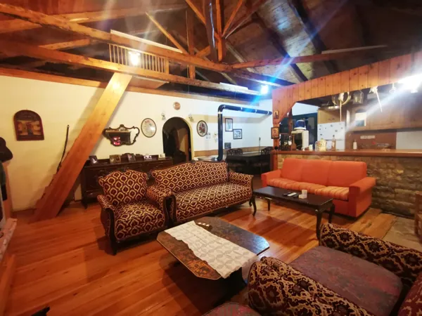 House nested in a pine forest - Lagkadia, Peloponnese