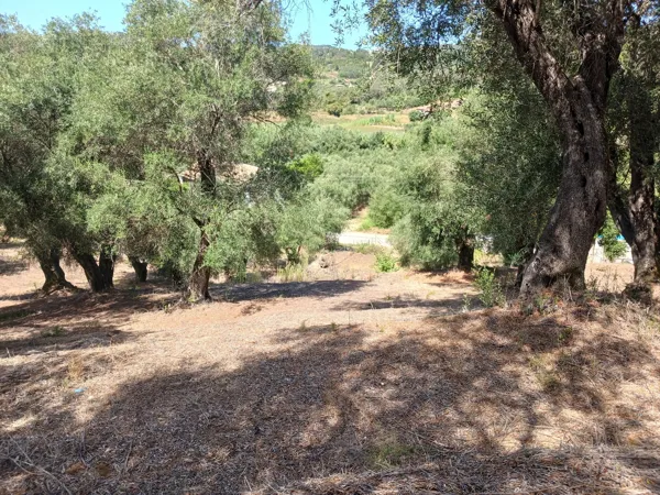 Land plot with panoramic sea view  - Agios Georgios Pagon, Corfu, Ionian Islands
