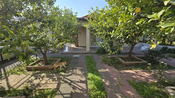 Beautiful house in Loutraki with mountain and sea view - Loutraki, Korinthia, Peloponnese