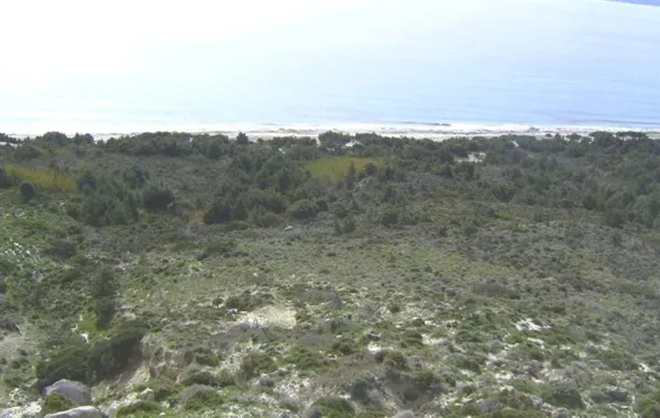 Large beachfront plot in touristic island - Kefalos, Kos, Dodecanese