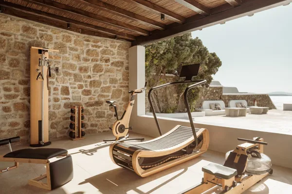Magnificent seafront villa with sunset views     - Aleomandra, Mykonos, Cyclades Islands