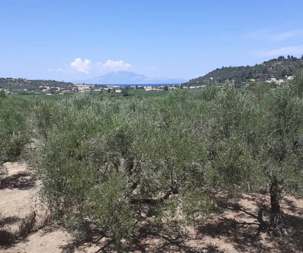 Exceptional property with sea views and investment potential - Zakynthos, Zakynthos, Ionian Islands
