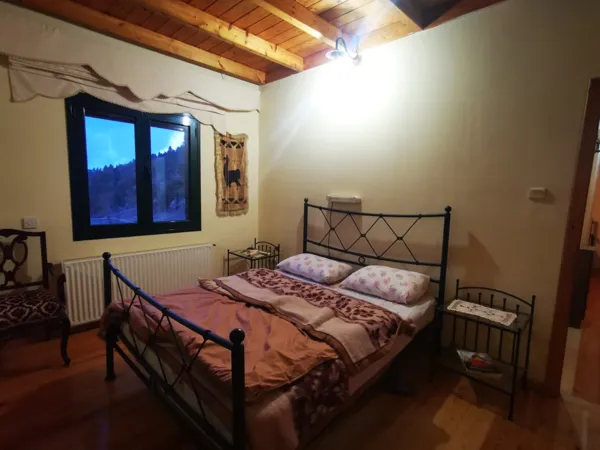 House nested in a pine forest - Lagkadia, Peloponnese