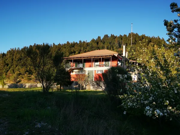 House nested in a pine forest - Lagkadia, Peloponnese