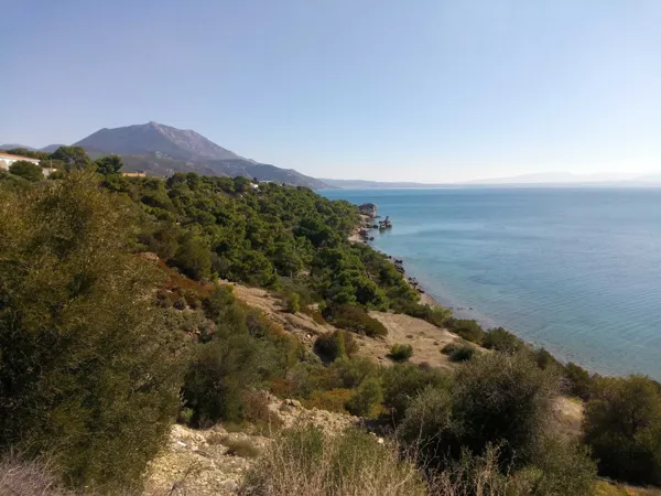 Large land plot with panoramic views - Perachora, Korinthia, Peloponnese