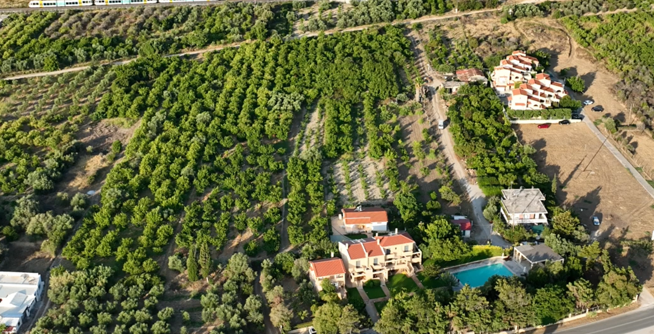 property asset
