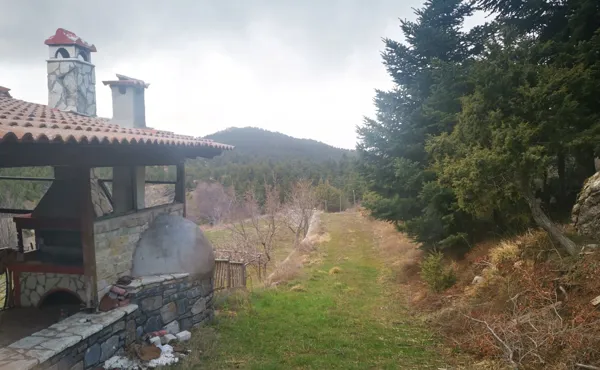 House nested in a pine forest - Lagkadia, Peloponnese