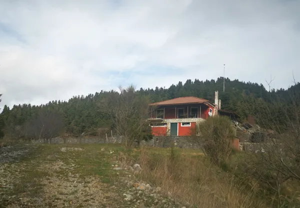 House nested in a pine forest - Lagkadia, Peloponnese