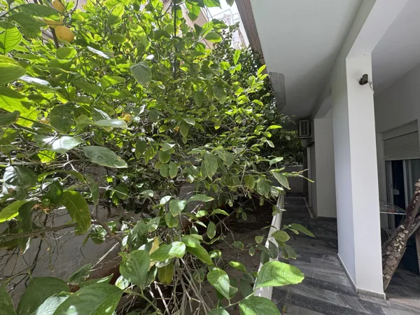 Elegant and cozy apartment in Nea Smyrni area - Nea Smyrni, Athens, Attica