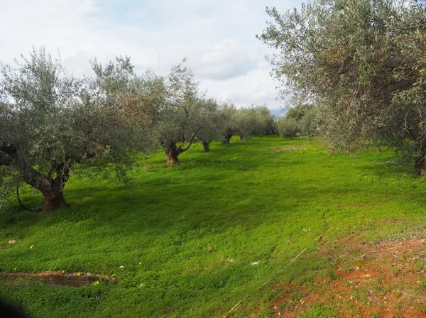 Three levels country house with sea views in Vochaiko - Vrachati, Korinthia, Peloponnese