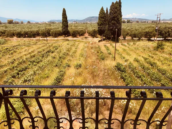 Unique estate in Zakynthos - Mahairado, Zakynthos, Ionian Islands