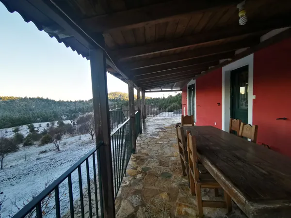 House nested in a pine forest - Lagkadia, Peloponnese