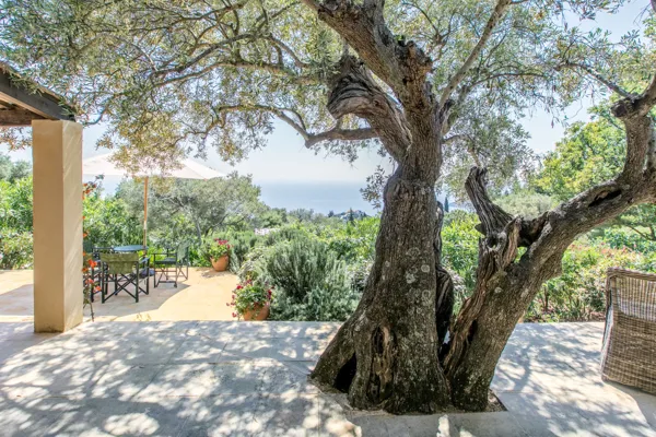 Traditional house in the north part of Zakynthos - Agios Nikolaos, Zakynthos, Ionian Islands