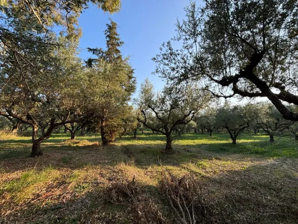 Charming estate in Zakynthos - Planos, Zakynthos, Ionian Islands