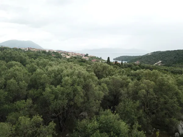 Olive grove plot with planning permission for a Mediterranean villa - Meganisi, Ionian Islands