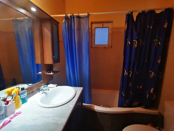 House nested in a pine forest - Lagkadia, Peloponnese