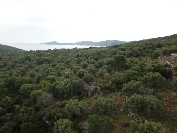 Olive grove plot with planning permission for a Mediterranean villa - Meganisi, Ionian Islands