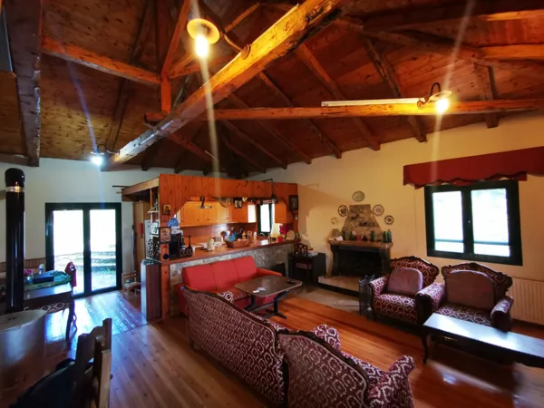 House nested in a pine forest - Lagkadia, Peloponnese
