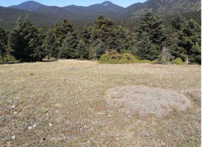 Land plots in Kroki, Delfoi