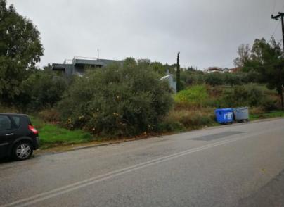 Land plot in Rafina area