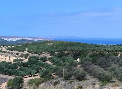Plot for Development in Northeast Crete
