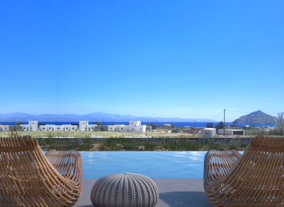 Exclusive villas with vineyards