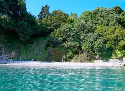 Unique estate with access to a private beach 