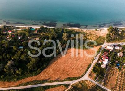 Land plots next to the beach
