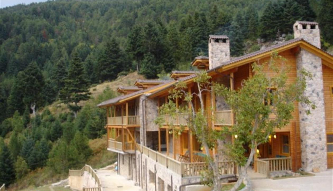 Charming boutique hotel in log chalet style