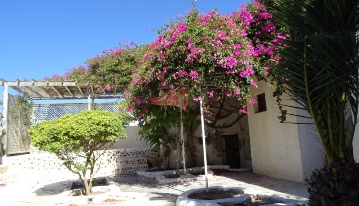 Traditional house on famous Greek island