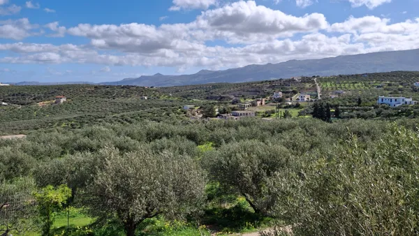 Unfinished Apartment with Land - Siteia, Lasithi, Crete