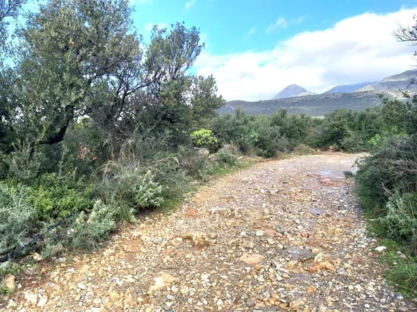 Land plot with sea views - Kardamyli, Messinia, Peloponnese
