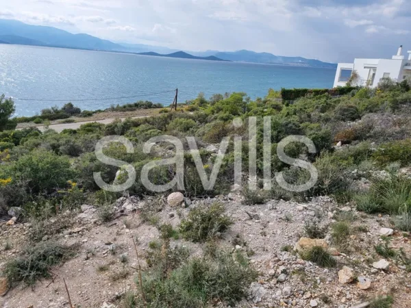 Seaside plot in Theologos - Malesina, Fthiotida, Central Greece