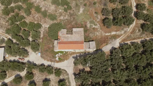Olive Estate & Development Opportunity - Heraklion, Heraklion, Crete