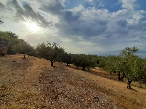Great positioned land plot - Akrata, Achaïa, Peloponnese
