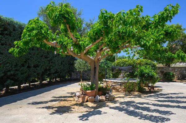 Stone villa with modern amenities  - Mesochori, Messinia, Peloponnese