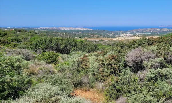 Land with Sea Views - Siteia, Lasithi, Crete