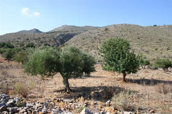 Hillside development plot close to the sea - Kefalas, Chania, Crete