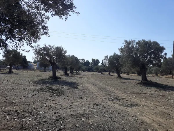 Development Plot - Tympaki, Heraklion, Crete