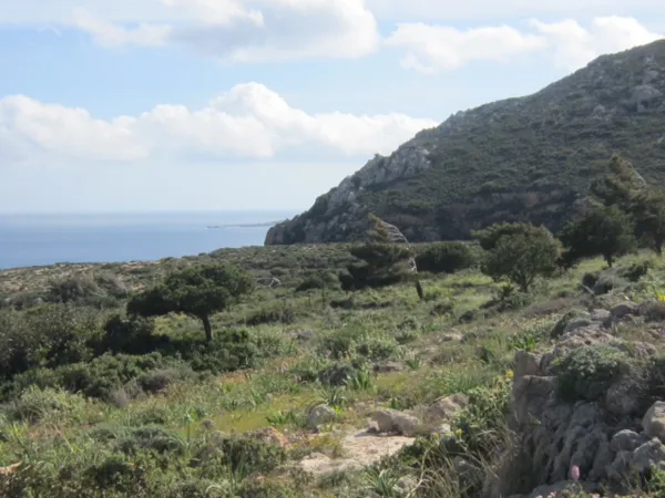 Large land plot in Karpathos - Karpathos, Karpathos, Dodecanese