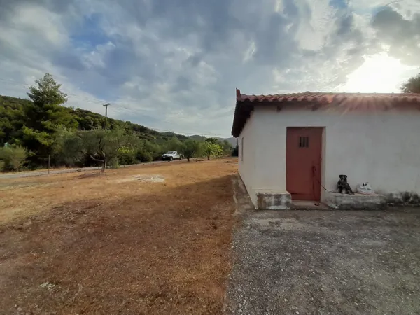 Great positioned land plot - Akrata, Achaïa, Peloponnese