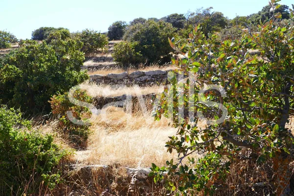 Buildable land plot overlooking Korissia bay in Kea - Kea, Kea, Cyclades Islands