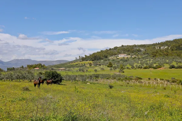 Breath-taking private country estate close to the sea - Epidavros, Argolis, Peloponnese