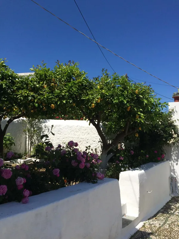 Exceptional property in the heart of Spetses - Spetses, Spetses, Saronic Islands