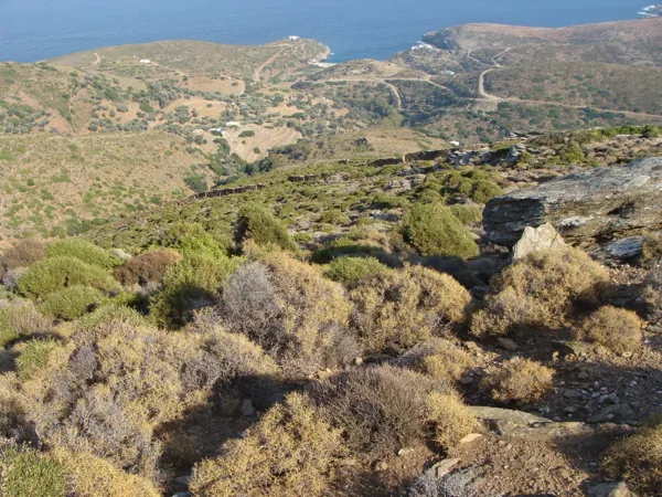 Large land plot with panoramic sea views in Andros - Vitali, Andros, Cyclades Islands